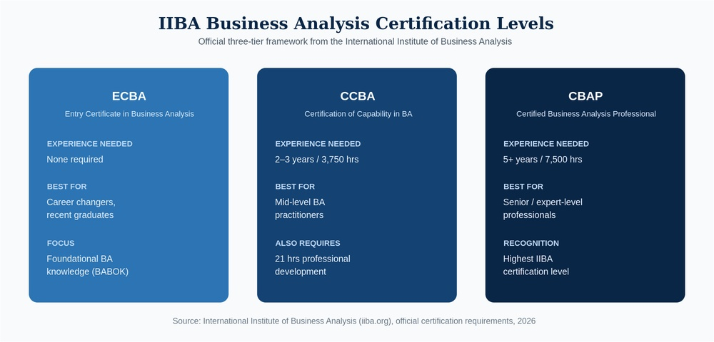IT Business Analyst Certification Levels